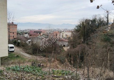 Fatsa Evkaf Mah. 168 M2 Arsa 72 Metre Oturumlu 95 100 M.k Arası Çıkması Olan Arsa Satılıktır