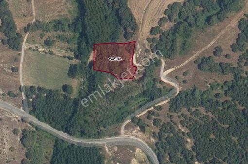Kırklareli Armağan Köyünde 2.837 M2 Satılık Arazi