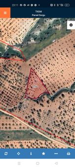 Akyol Gayrimenkul Den Satlık Oğuzeli Caybaşında Bağ Evlilik Zeytin Tarlası