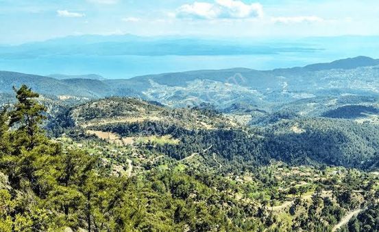 Latmos Gayrimenkul’den Muğla Menteşe Zeytinköy’de Eşsiz Gökova Körfezi Manzaralı Satılık Arazi