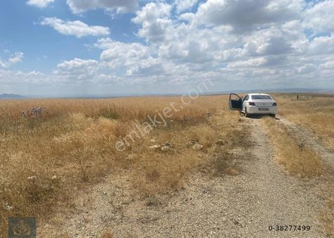 Ardulia'dan Karatepe'de 50.000 M2 Yatırımlık Fırsat Tarla