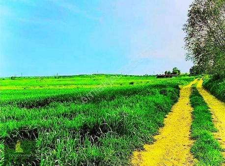 Saray Edirköy De 380 M2 Yola Yakin Tarla