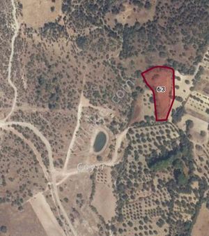 Manisa Yunusemre Muslih Mahallesinde Satılık Tarla