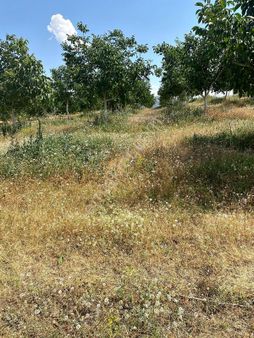 Bursa Karacabey Yarış'ta Sulama Hattına Bağlı Satılık 10.150 M2 Arazi