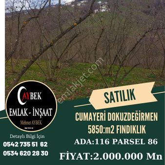 Aybek Emlak Ofisinden Satılık Fındıklık Cumayeri Dokuzdeğirmen Subaşı Köyü