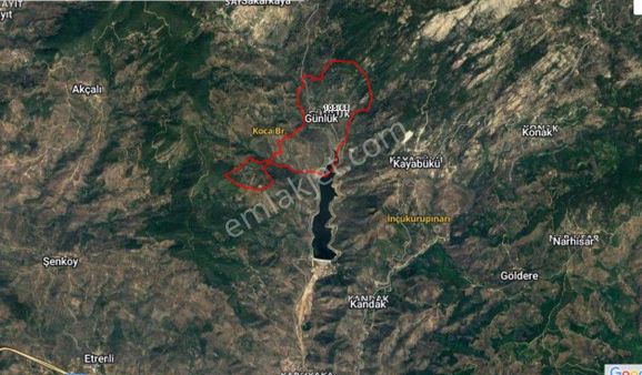 Elvan Özçelikten Günlük'te Baraj Manzaralı Zeytinlik