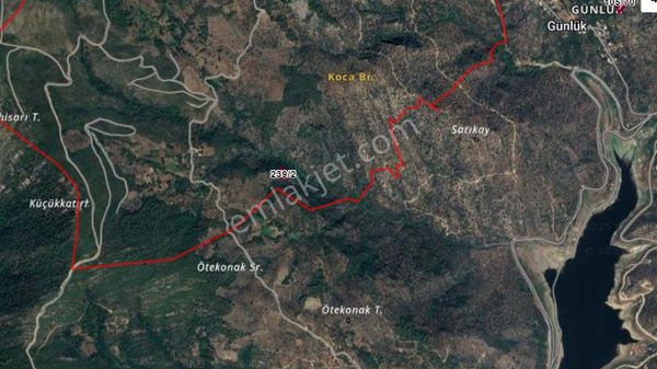 Elvan Özçelik'den Sakarkaya'da Baraj Manzaralı Zeytinlik