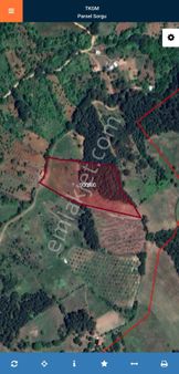 Osmangazi Güneybudaklar Köyünde Tarla Fırsatı