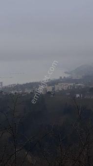 Deniz Dogamanzaralı 3000mkr