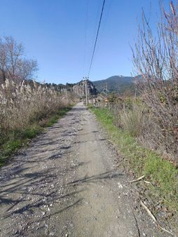 Ortaca Dalyan'da İmarlı Arsa