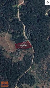 Bigadiç Bozbük'de Tarla