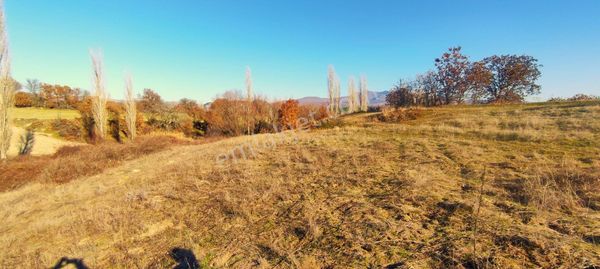 Selendi'de Fırsat!!! Satılık 3504 M2 Tarla (video)