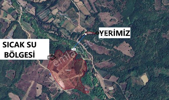 Kurşunlu Sıcak Suyuna Çok Yakın Konumda 1500m2 Tel Örgülü Tarla
