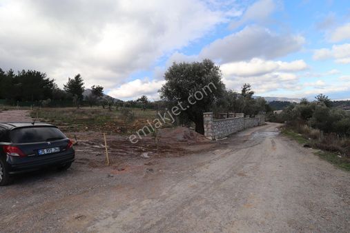 Kemalpaşa Yukarı Kızılca Da 658 M2 Bahçe