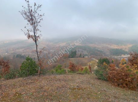 Uludağ Manzaralı Asfalta 85 Metre Cephe 7 Dönüm Satılık Tarla