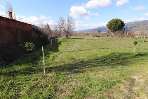 Kemalpaşa Yukarıkızılcada Satılık Bahçe 408 M2