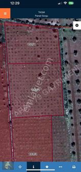 Uyaran79 Gayrimenkul Den Oylum Güllük Mevkinde Tarla