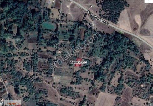 Recep Ümit Emlak'tan Uluderede Satılık 556 M2 Tarla