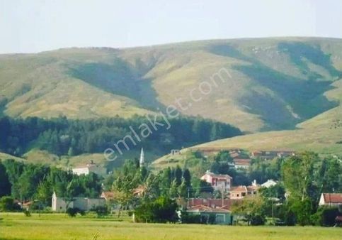 Recep Ümit Emlak'tan Uludere Köy İçi Üçpınar Mevkiinde Satılık 556 M2 Tarla