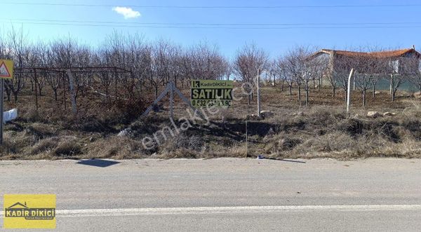 Kadir Dikici'den Meram Sağlık Mahallesi Yol Üzeri Satılık Bahçe