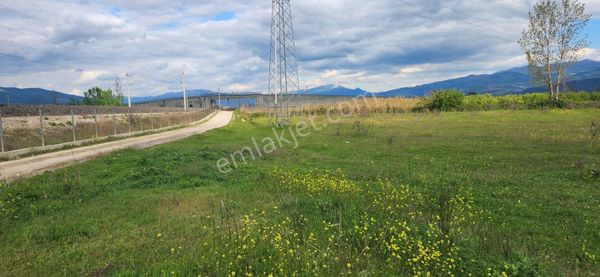 Hızlı Tren İstasyonuna Yakın Satılık Tarla
