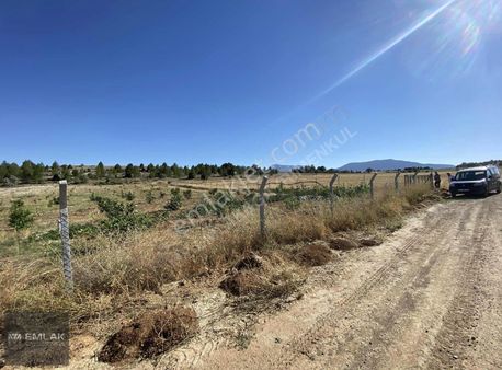 My Emlak&gayrimenkulden Bayavşarda Satılık Arazi