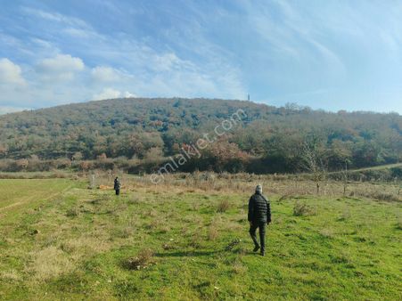 630 Mk Köye Yakın Yolu Suyu Mevcut Resmi Tapulu Bahçe. Yenişehir Fethiye De.