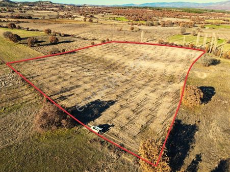 Selendi'de Satılık 17458 M2 Bademlik (video)