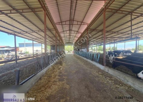 Satılık Antalya Yolunda Müstakil Ev+çiftlik +değirmen