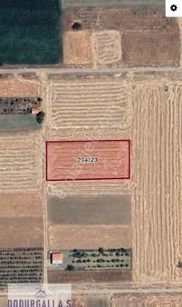 Acıpayam Yumrutaş Satılık Tarla