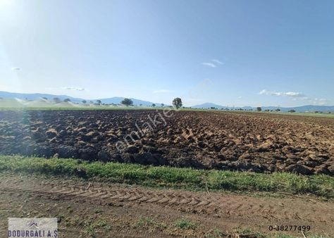 Acıpayam Yumrutaş Satılık Tarla