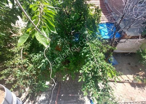 Recep Ümit Emlak'tan Şarhöyük Mahallesinde Büyük Park Yakını Satılık 2 Katlı Bahçeli Müstakil Ev