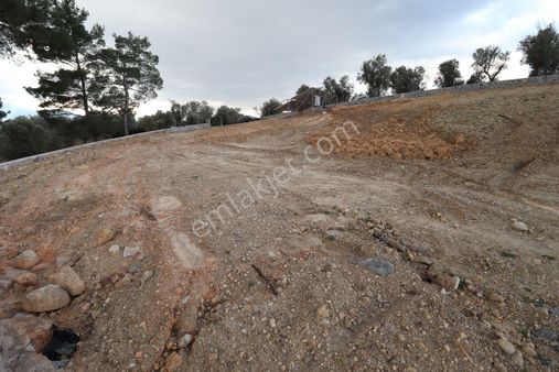 Kemalpaşa Ansızcada Satılık Tapulu Bahçe 1406 M2