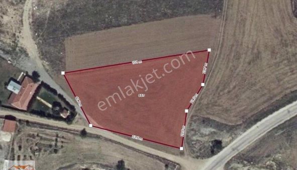 Recep Ümit Emlak'tan Odunpazarı Kara Alan Köyünde Satılık Tek Hisseli 3900 M2 Tarla