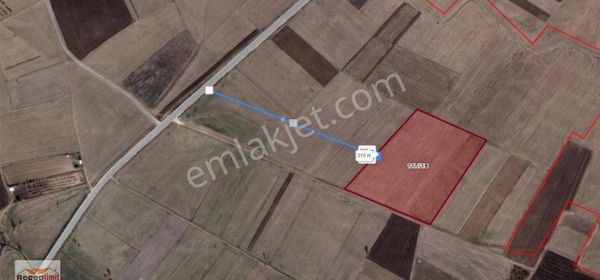 Recep Ümit Emlak'tan Danişment Köyü Yakınında Satılık 1/2 Hisseli , 12,59 Dönüm Tarla