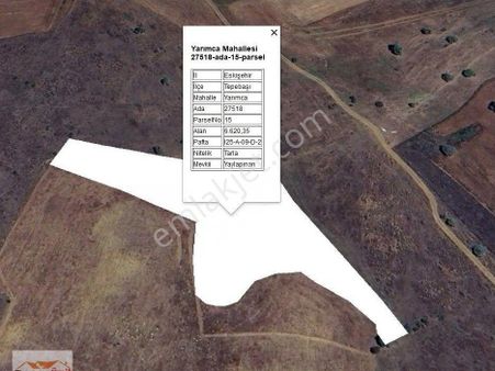 Recep Ümit Emlak'tan Yarımca'da Tandır Mesire Alanına Yakın Lokasyonda 6600 M2 Satılık Tarla