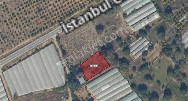 Recep Ümit Emlak'tan Mihalgazi Dokuzmayıs Köyünde Satılık 821 M2 Bağ-bahçe