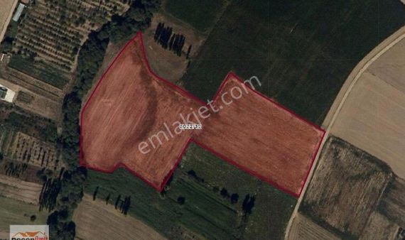 Recep Ümit Emlak'tan Seyitgazi İkiçeşme Mahallesi Seydi Suyu Boyunda Satılık 22,6 Dönüm Tarla.