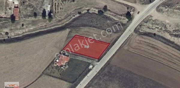 Recep Ümit Emlak'tan Odunpazarı Kara Alan Köyünde Satılık Tek Hisseli 1200 M2 Tarla