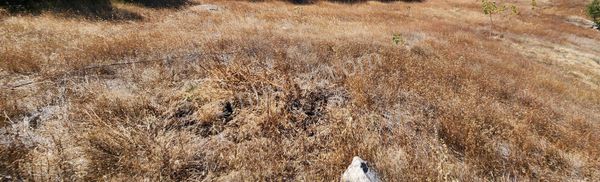 Takasa Açık Fırsat Satılık Tarla