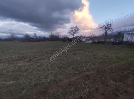 Konya Seydişehir Gökçehüyük M. Satılık Sulu Tarla 2603 M2.merkeze 7.4 Km