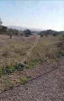 Seferıhısar Satılık Arazı