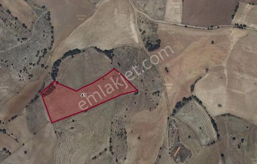 Süpüren Köyünde Tarıma Elverişli Hazır Sürülü Fırsat Tarla Ba-4