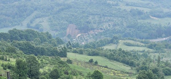 Bursa İnegöl Satılık Tarla