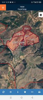 Manisa Kemaliye Satılık Tarla