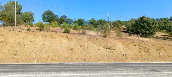 Elektrik Yol Su Satılık Fırsat Tarla