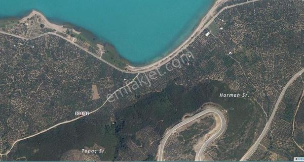 İznik Derbet Mahallesi Sınırlarında İznik Gölüne 400 M Mesafede Satılık Zeytinlik