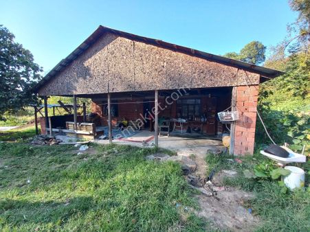 Remax Mavi Esmahanım Köyünde 54.284 M2 Fındıklık Ve Müstakil Ev