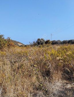 Sahil Yenicede Satılık Üç Parça Tarla