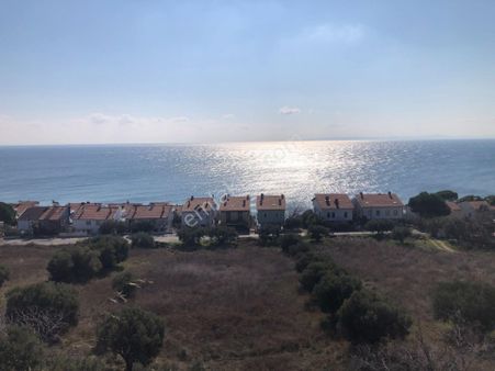 Şarköyde Işık Emlaktan Mürefte Mah De 3654 M2 Zeytinlik